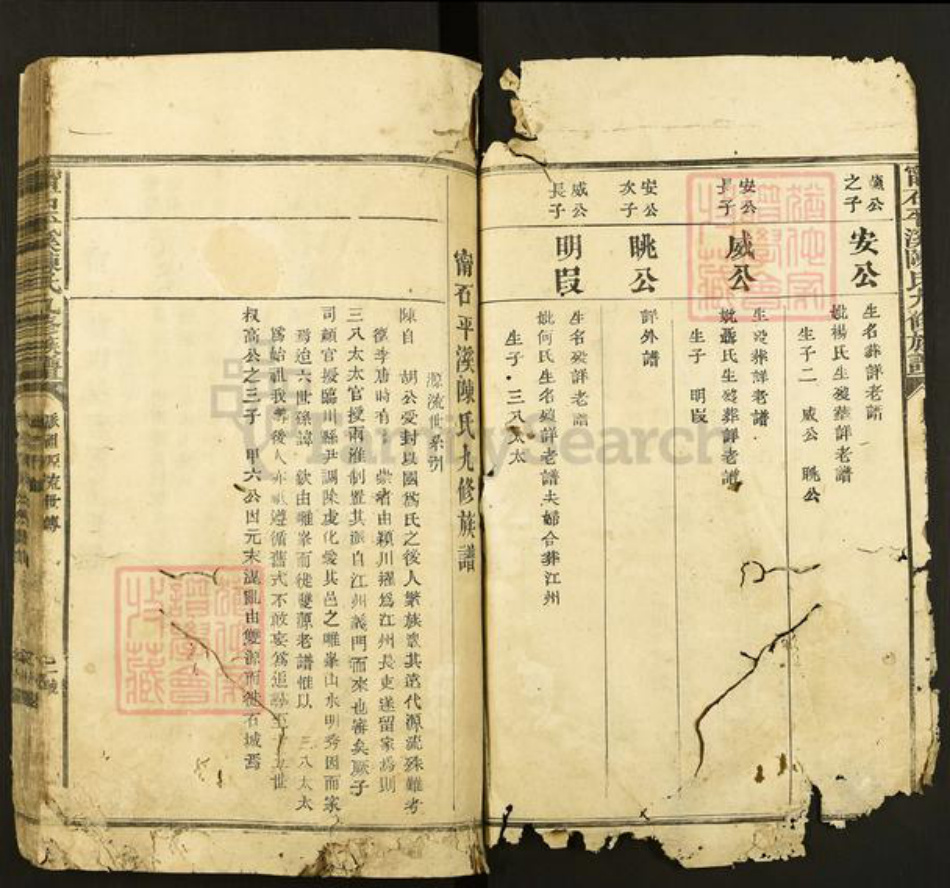 江西省赣州市石城县陈氏族谱-宁石平溪陈氏九修族谱.pdf电子版插图2