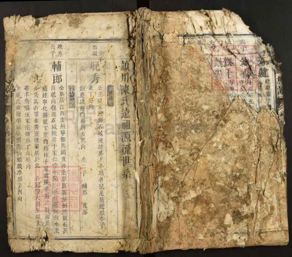 福建省三明市宁化县陈氏族谱-陈氏重修族谱.pdf电子版插图