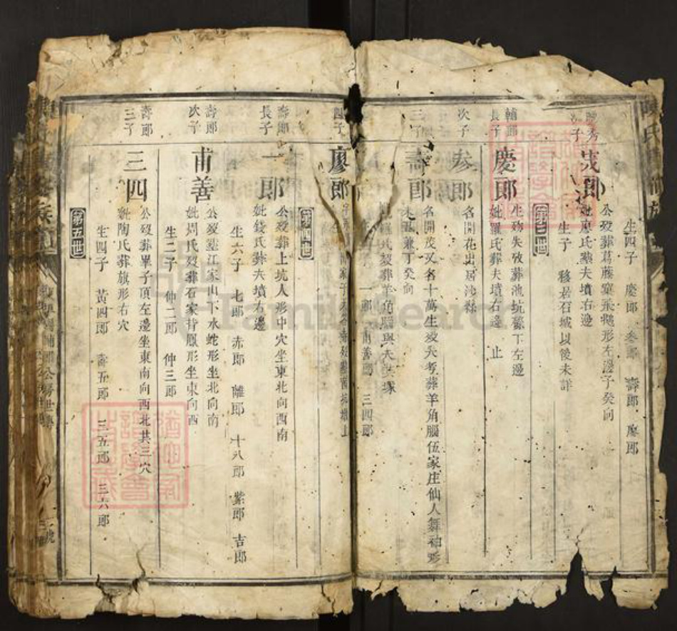 福建省三明市宁化县陈氏族谱-陈氏重修族谱.pdf电子版插图2