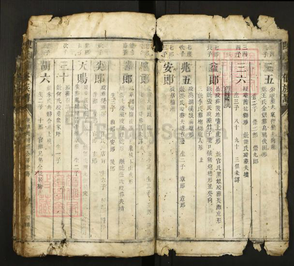 福建省三明市宁化县陈氏族谱-陈氏重修族谱.pdf电子版插图4