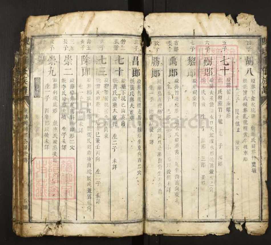 福建省三明市宁化县陈氏族谱-陈氏重修族谱.pdf电子版插图5