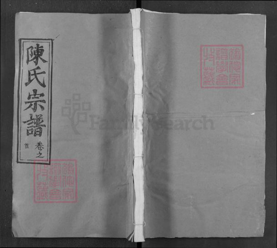 湖北省武汉市新洲区陈氏德星堂族谱-陈氏宗谱.pdf电子版插图