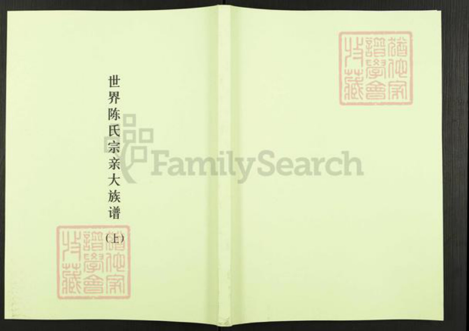 河南省濮阳市华龙区陈氏德星堂族谱-世界陈氏宗亲大族谱.pdf电子版插图