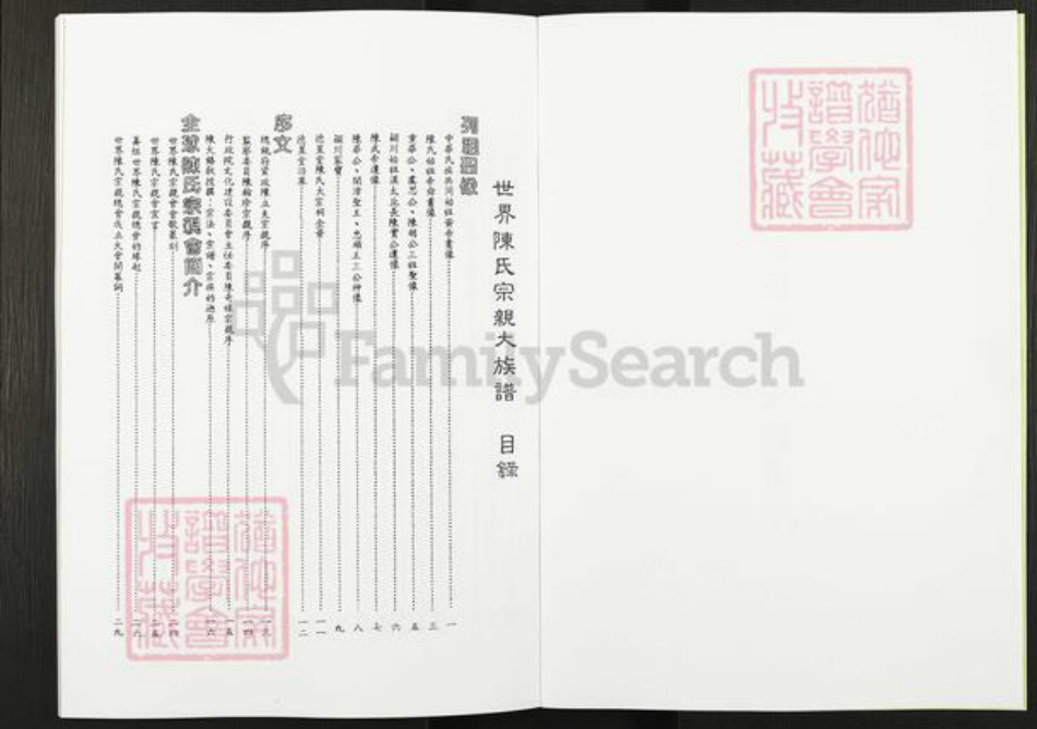 河南省濮阳市华龙区陈氏德星堂族谱-世界陈氏宗亲大族谱.pdf电子版插图2