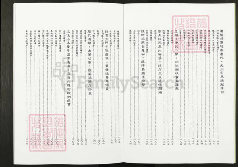 河南省濮阳市华龙区陈氏德星堂族谱-世界陈氏宗亲大族谱.pdf电子版插图5