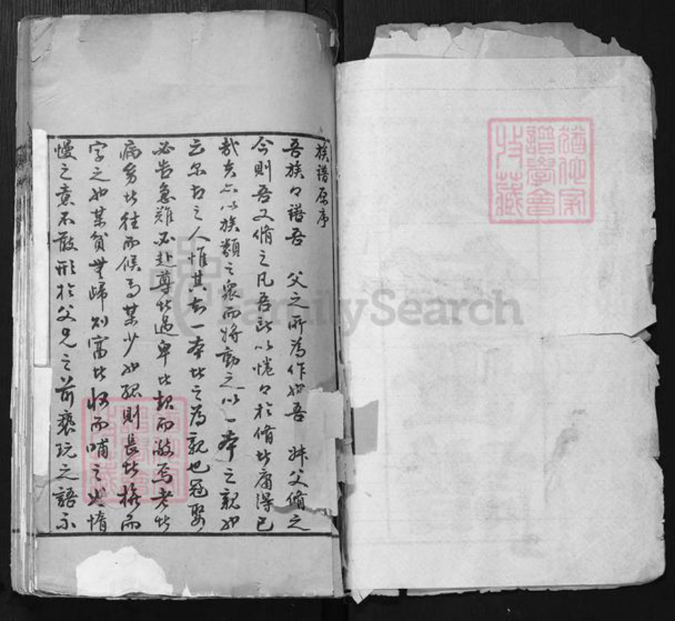 山东省聊城市东阿县陈氏族谱-陈何世谱.pdf电子版插图1