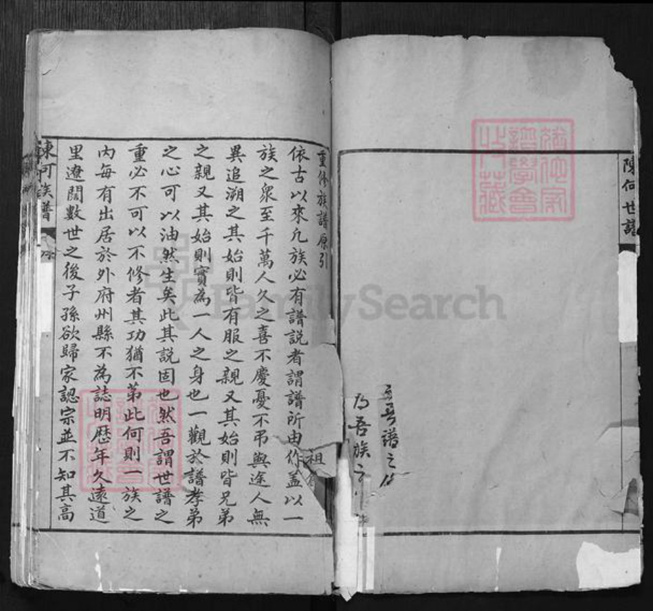 山东省聊城市东阿县陈氏族谱-陈何世谱.pdf电子版插图3