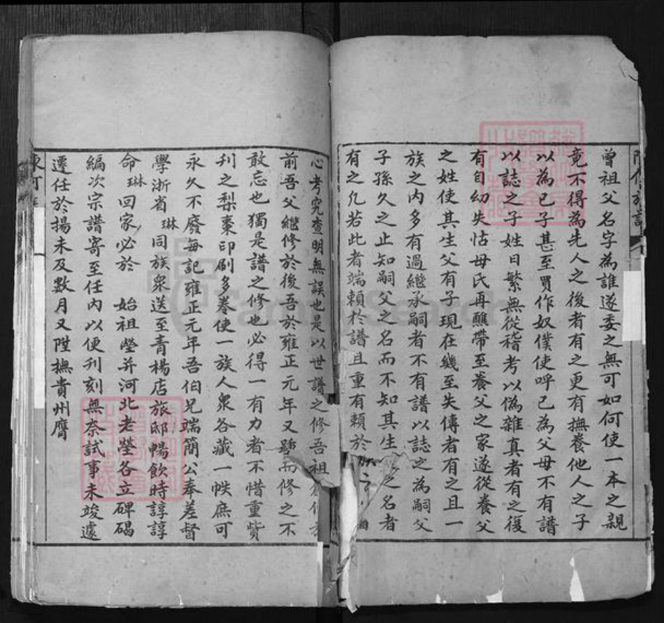 山东省聊城市东阿县陈氏族谱-陈何世谱.pdf电子版插图4