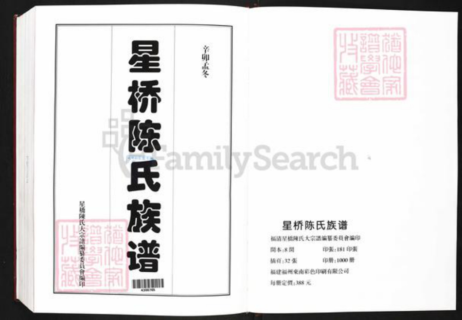 福建省福州市福清市城头镇陈氏族谱-中国福建福清星桥陈氏大宗谱.pdf电子版插图1