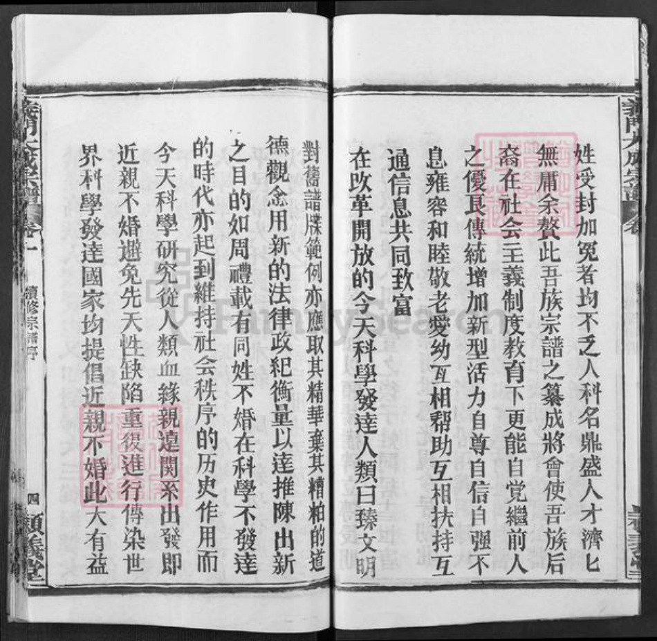 湖北省黄冈市陈氏颕义堂族谱-义门陈氏宗谱.pdf电子版插图5