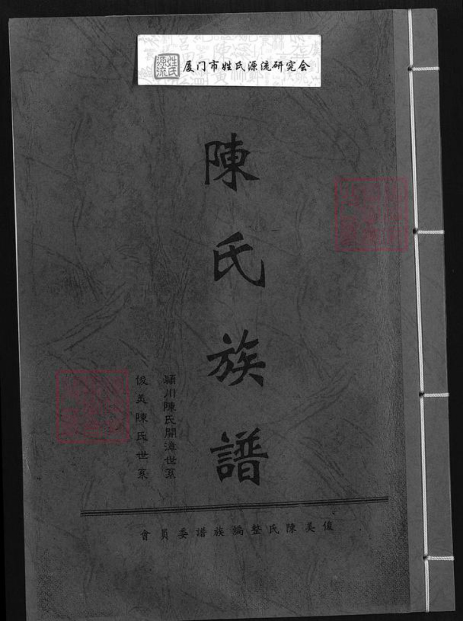福建省漳州市龙海市东园镇陈氏颍川堂族谱-陈氏族谱.pdf电子版插图