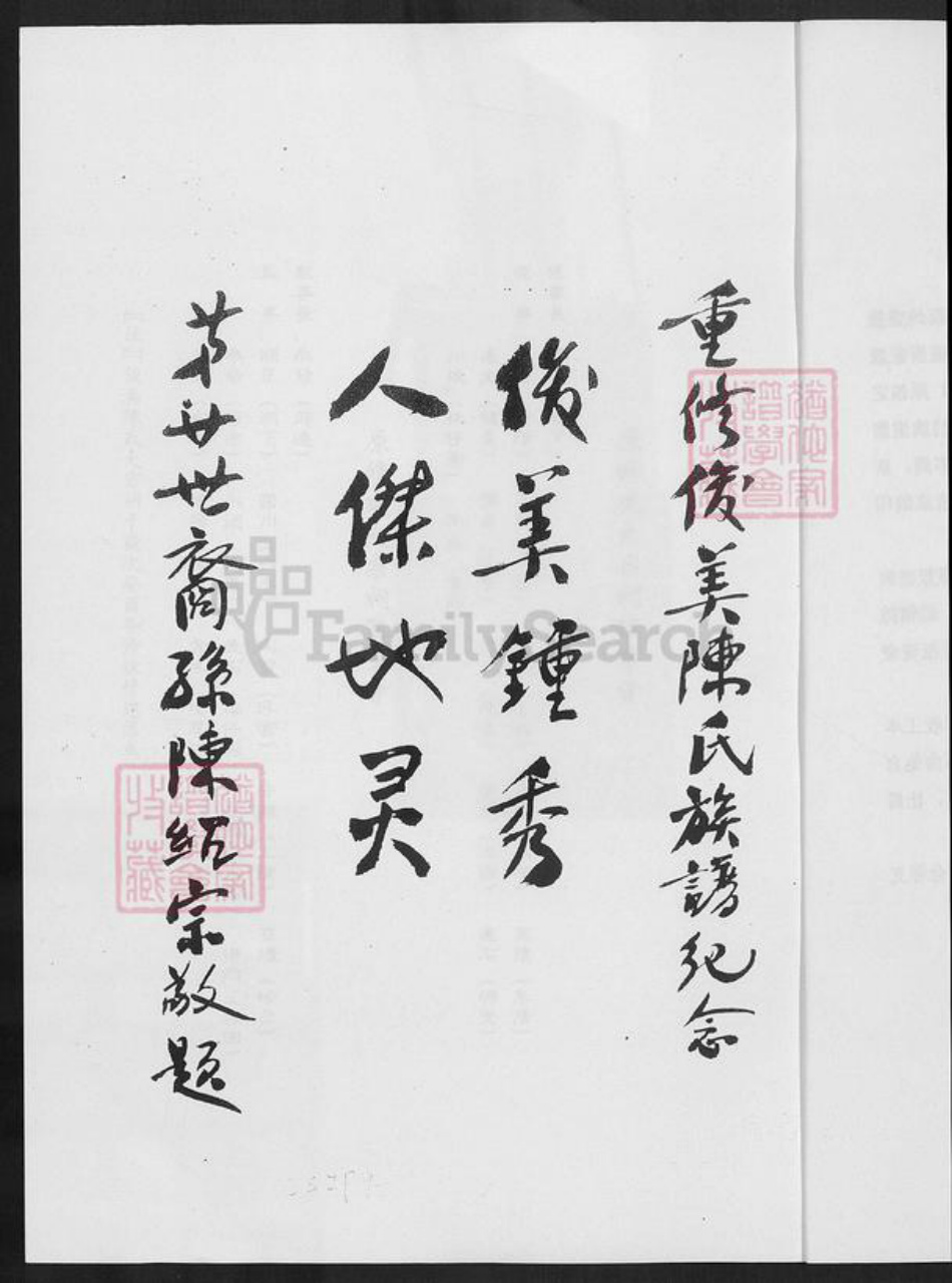 福建省漳州市龙海市东园镇陈氏颍川堂族谱-陈氏族谱.pdf电子版插图3