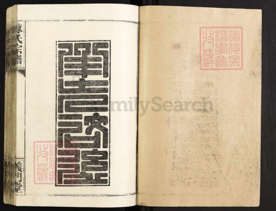 湖北省仙桃市沔城回族镇陈氏义门堂族谱-陈氏宗谱.pdf电子版插图1