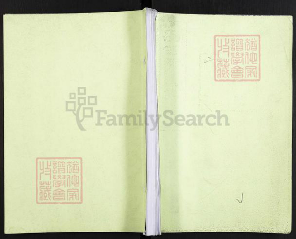 湖南省株洲市醴陵市官庄镇陈氏族谱-浏西陈氏族谱.pdf电子版插图