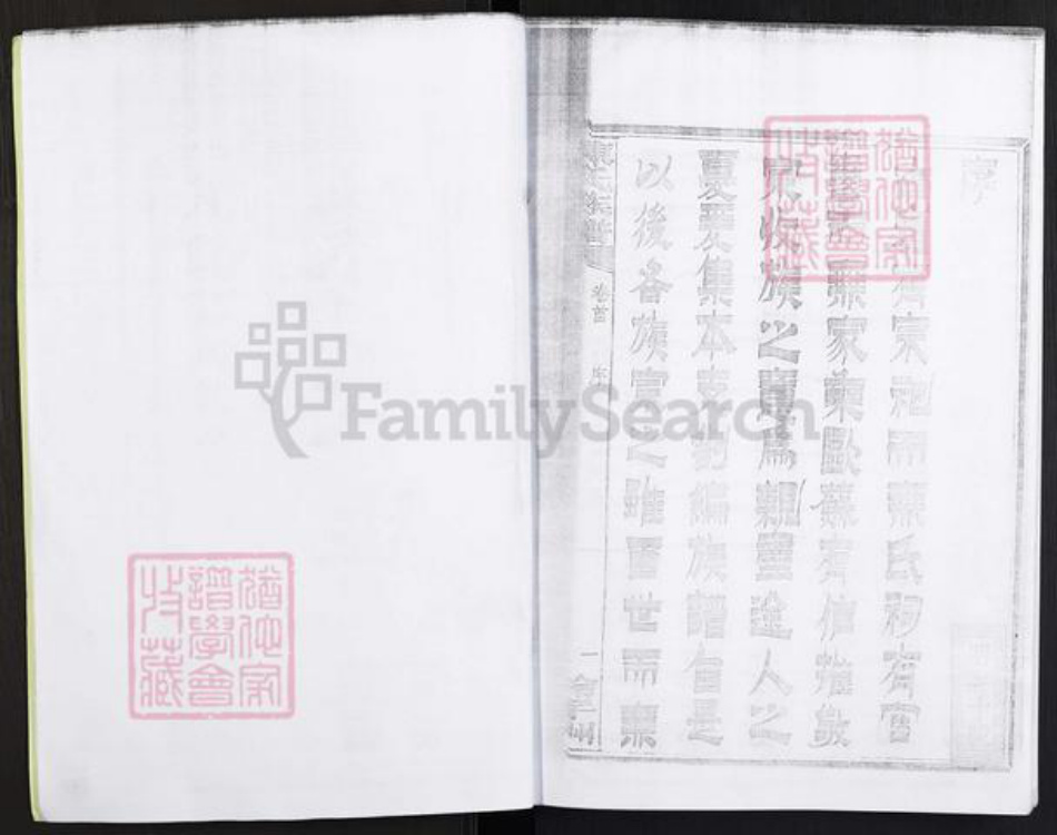 湖南省株洲市醴陵市官庄镇陈氏族谱-浏西陈氏族谱.pdf电子版插图3