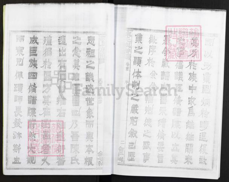 湖南省株洲市醴陵市官庄镇陈氏族谱-浏西陈氏族谱.pdf电子版插图4