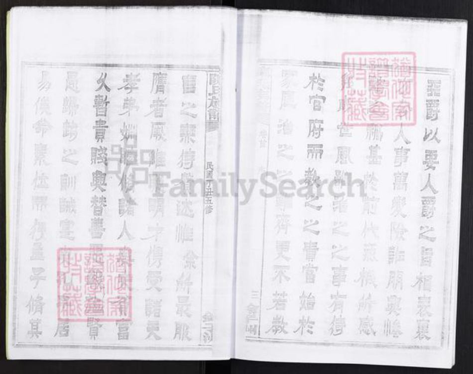 湖南省株洲市醴陵市官庄镇陈氏族谱-浏西陈氏族谱.pdf电子版插图5