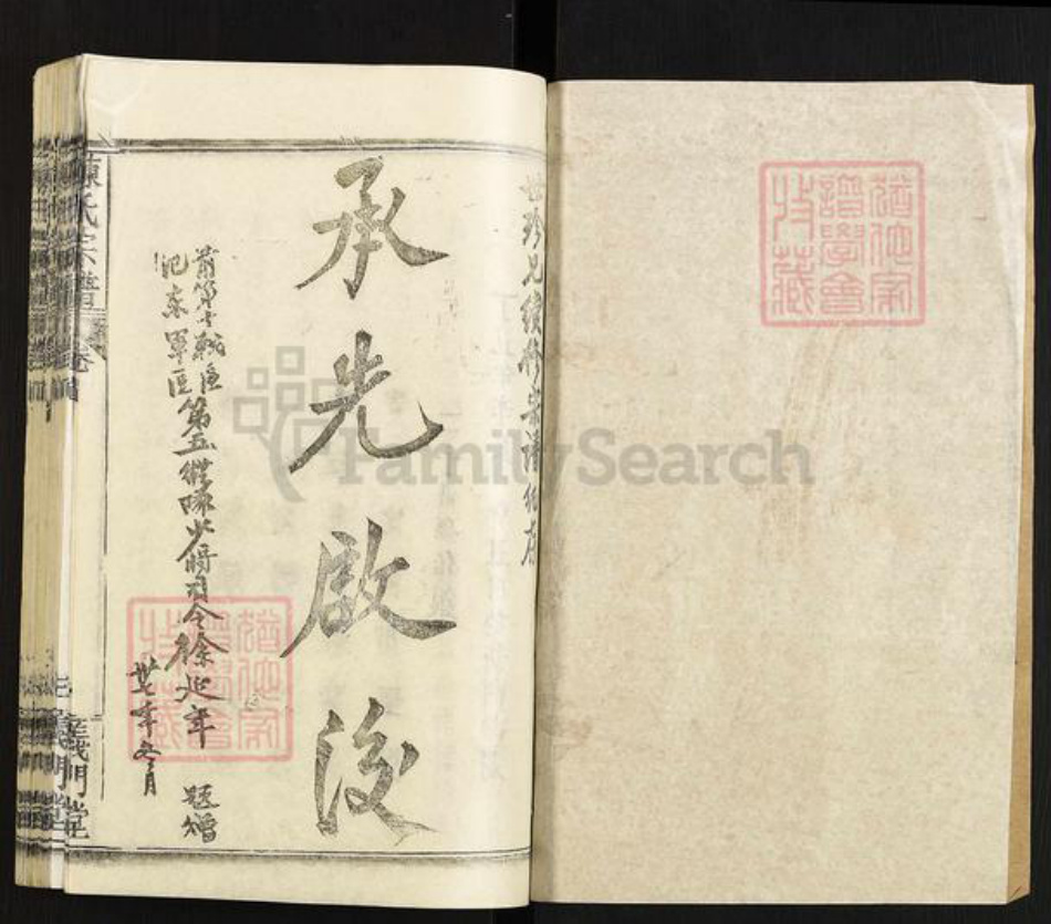 湖北省武汉市黄陂区黄陂陈氏义门堂族谱-陈氏宗谱.pdf电子版插图1