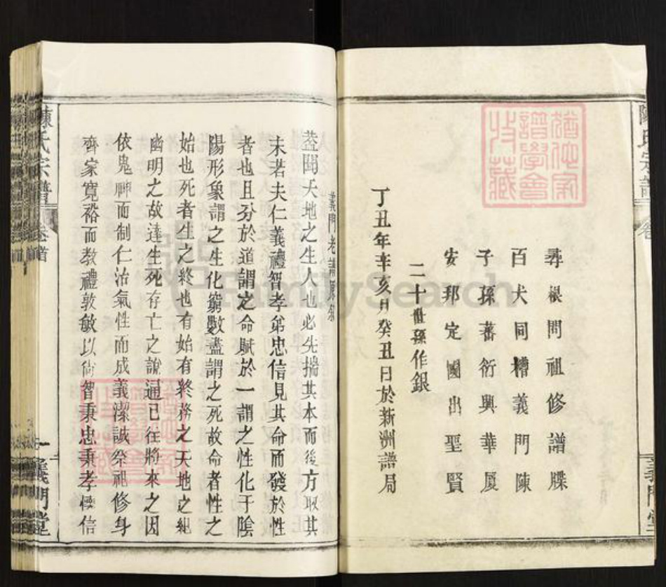 湖北省武汉市黄陂区黄陂陈氏义门堂族谱-陈氏宗谱.pdf电子版插图2