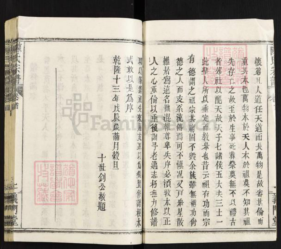 湖北省武汉市黄陂区黄陂陈氏义门堂族谱-陈氏宗谱.pdf电子版插图3