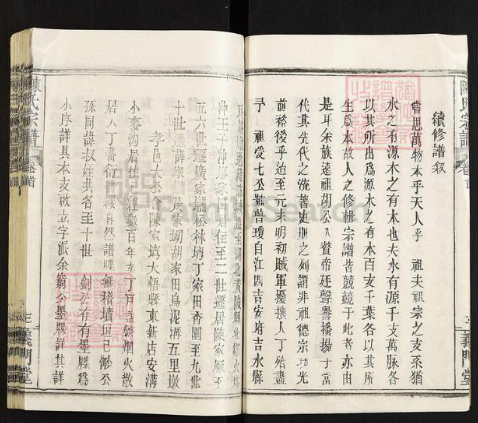 湖北省武汉市黄陂区黄陂陈氏义门堂族谱-陈氏宗谱.pdf电子版插图4