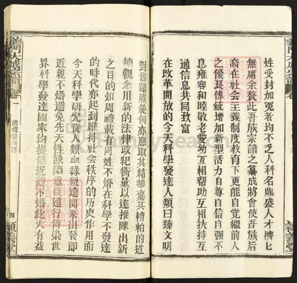 湖北省黄冈市蕲春县刘河镇陈氏颖义堂族谱-义门陈氏宗谱.pdf电子版插图5