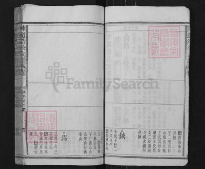 安徽省安庆市宿松县陈汉乡陈氏族谱-陈道浩公支谱.pdf电子版插图4 安徽省安庆市宿松县陈汉乡陈氏族谱-陈道浩公支谱.pdf电子版插图4