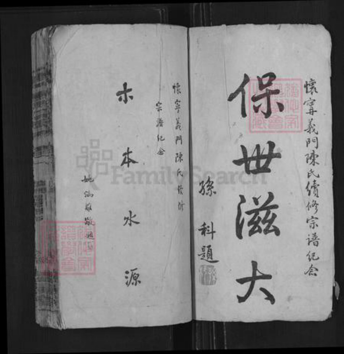 安徽省黄山市休宁县陈氏德星堂族谱-义门陈氏宗谱.pdf电子版插图2