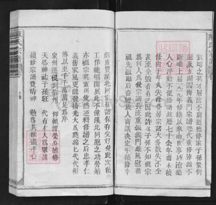 福建省泉州市晋江市龙湖镇陈氏族谱-陈氏宗谱.pdf电子版插图2