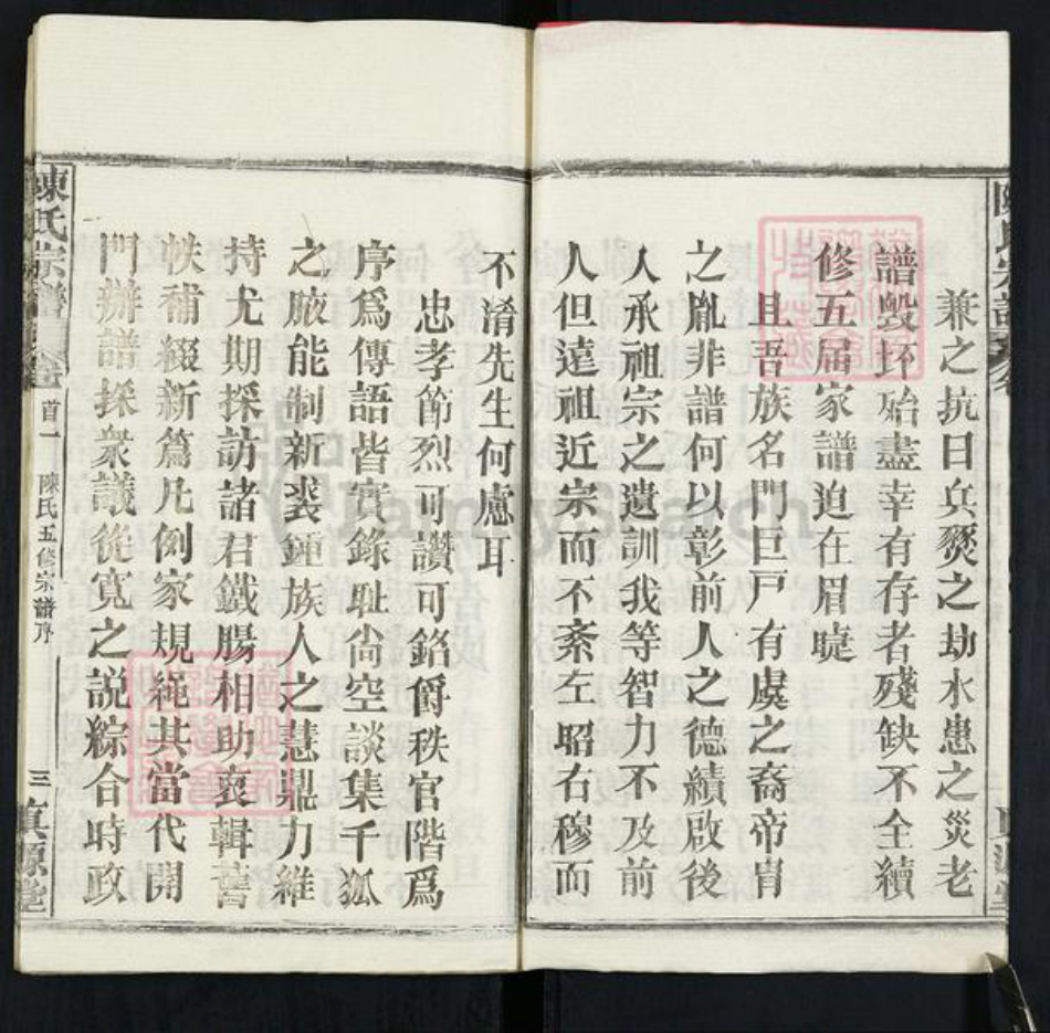 湖北省黄冈市黄州区堵城镇陈氏真源堂族谱-陈氏宗谱.pdf电子版插图3