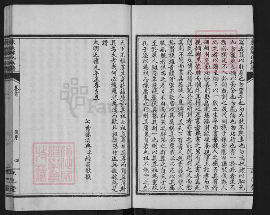 山东省泰安市东平县陈氏正己堂族谱-东原陈氏族谱.pdf电子版插图4