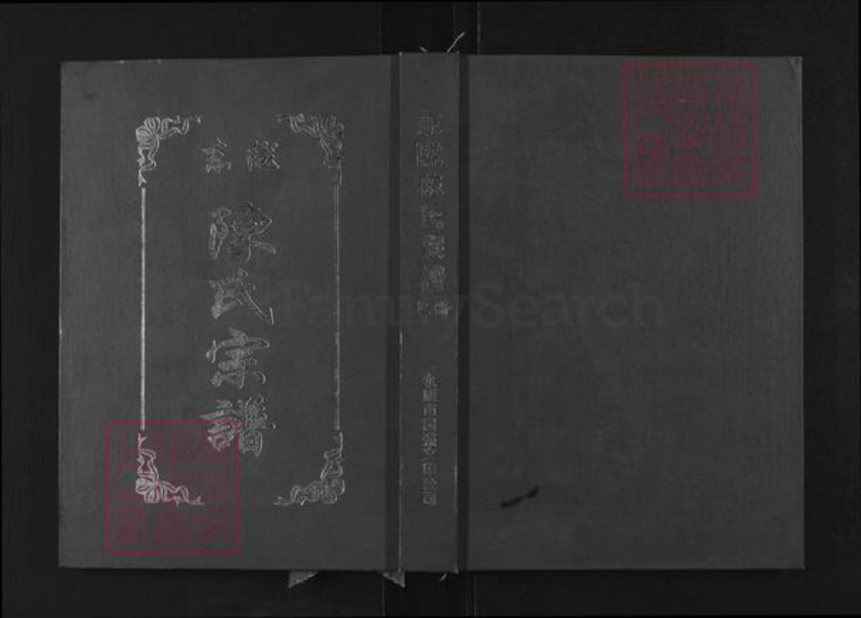 浙江省金华市永康市东城街道陈氏族谱-东陇陈氏宗谱.pdf电子版插图