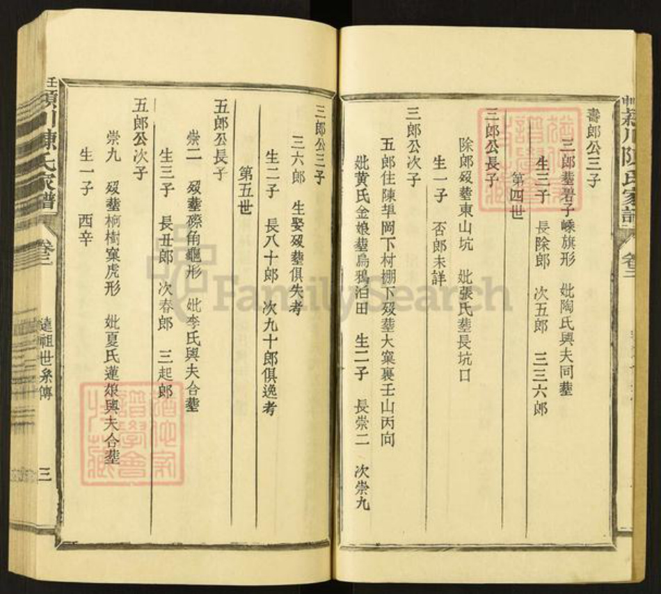 福建省三明市宁化县陈氏族谱-壬申颖川陈氏家谱.pdf电子版插图3