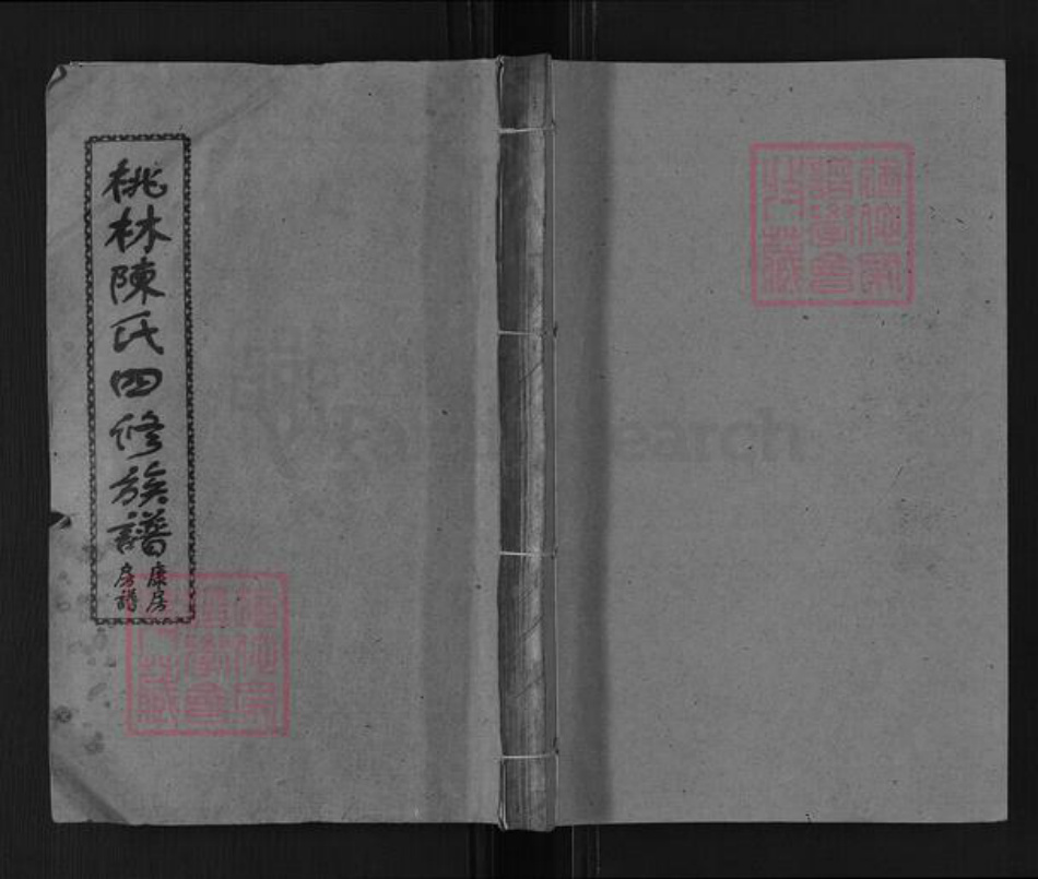 湖南省湘潭市湘乡市湘乡陈氏德星堂族谱-桃林陈氏四修族谱.pdf电子版插图