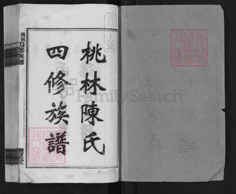 湖南省湘潭市湘乡市湘乡陈氏德星堂族谱-桃林陈氏四修族谱.pdf电子版插图1