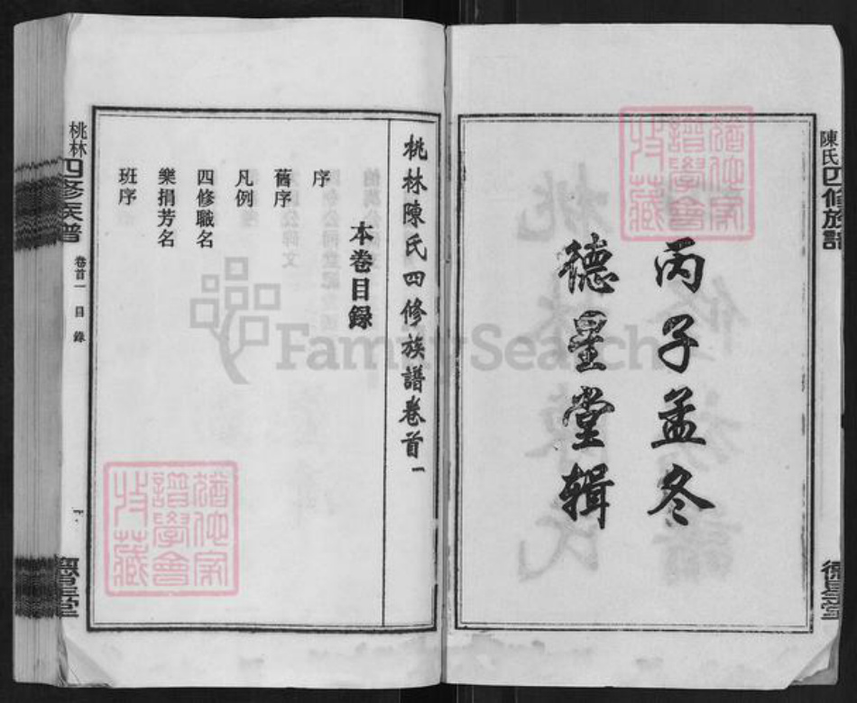 湖南省湘潭市湘乡市湘乡陈氏德星堂族谱-桃林陈氏四修族谱.pdf电子版插图2
