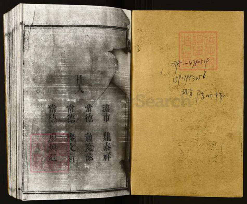 湖南省常德市桃源县陈氏族谱-陈氏族谱.洞溪桥.pdf电子版插图1