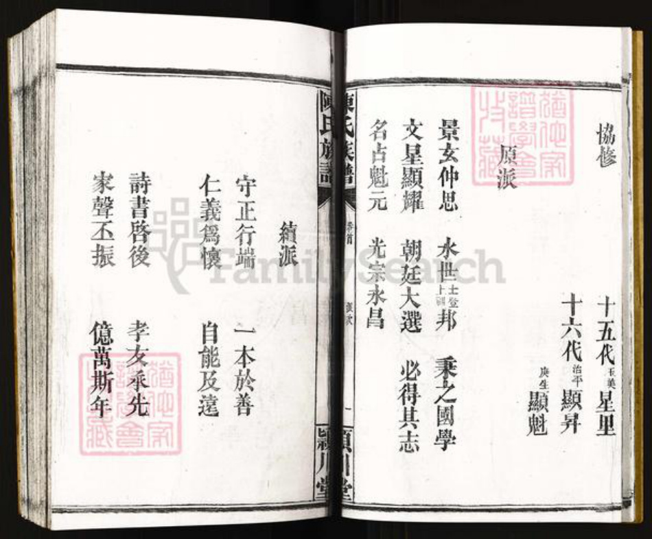 湖南省常德市桃源县陈氏族谱-陈氏族谱.洞溪桥.pdf电子版插图5