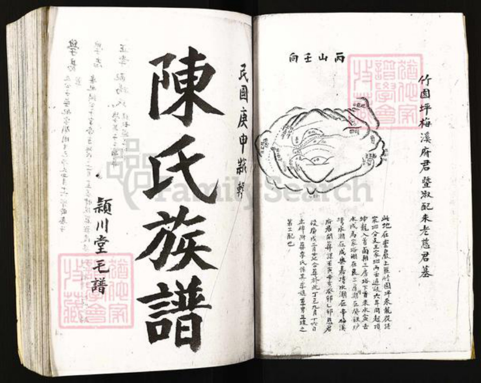 湖南省常德市桃源县陈氏族谱-陈氏族谱.pdf电子版插图1