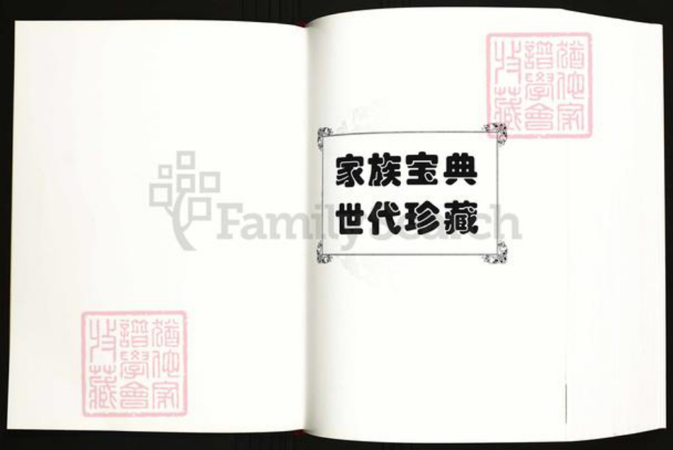 福建省龙岩市陈氏族谱-龙岩罗陈文安族谱(重修本).pdf电子版插图1
