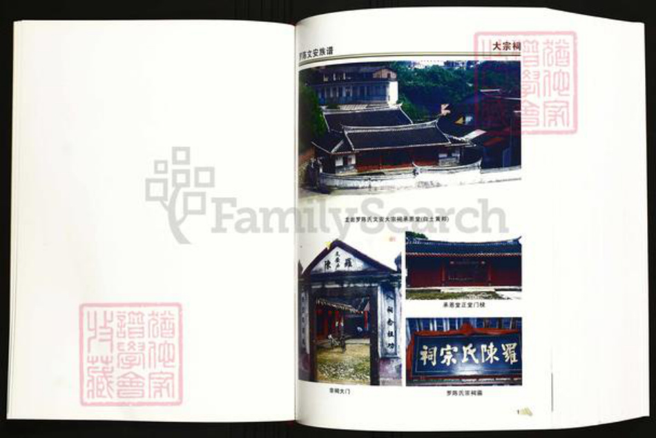 福建省龙岩市陈氏族谱-龙岩罗陈文安族谱(重修本).pdf电子版插图2