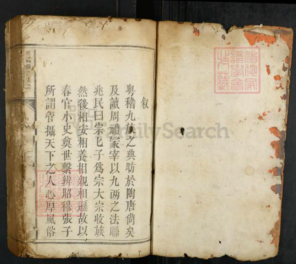 江西省赣州市瑞金市瑞林镇陈氏族谱-洋坑陈氏支谱.pdf电子版插图1