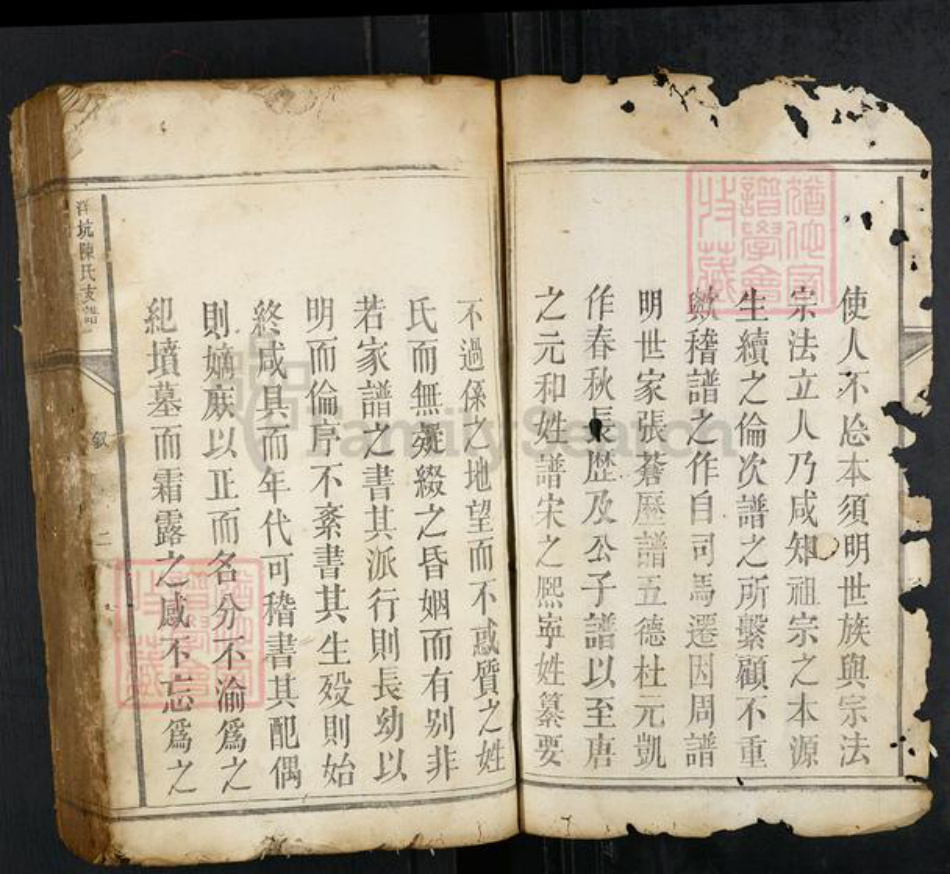 江西省赣州市瑞金市瑞林镇陈氏族谱-洋坑陈氏支谱.pdf电子版插图2