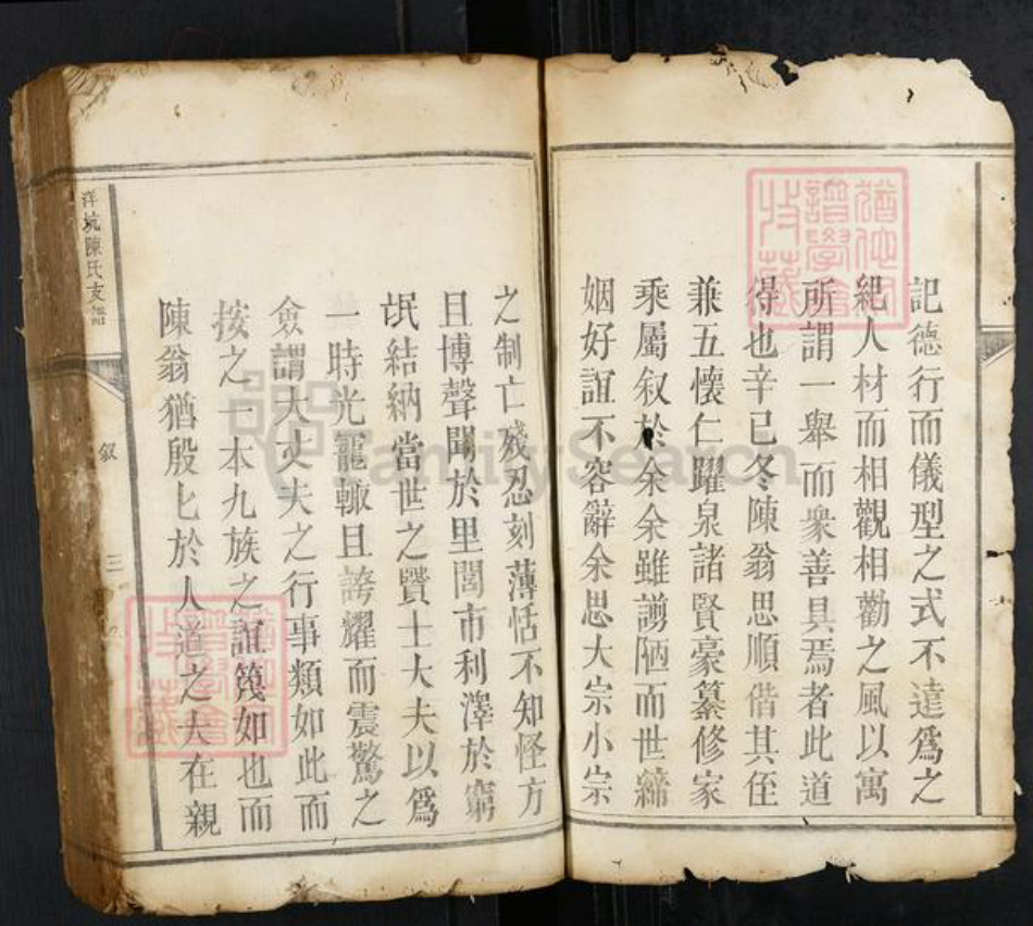 江西省赣州市瑞金市瑞林镇陈氏族谱-洋坑陈氏支谱.pdf电子版插图3