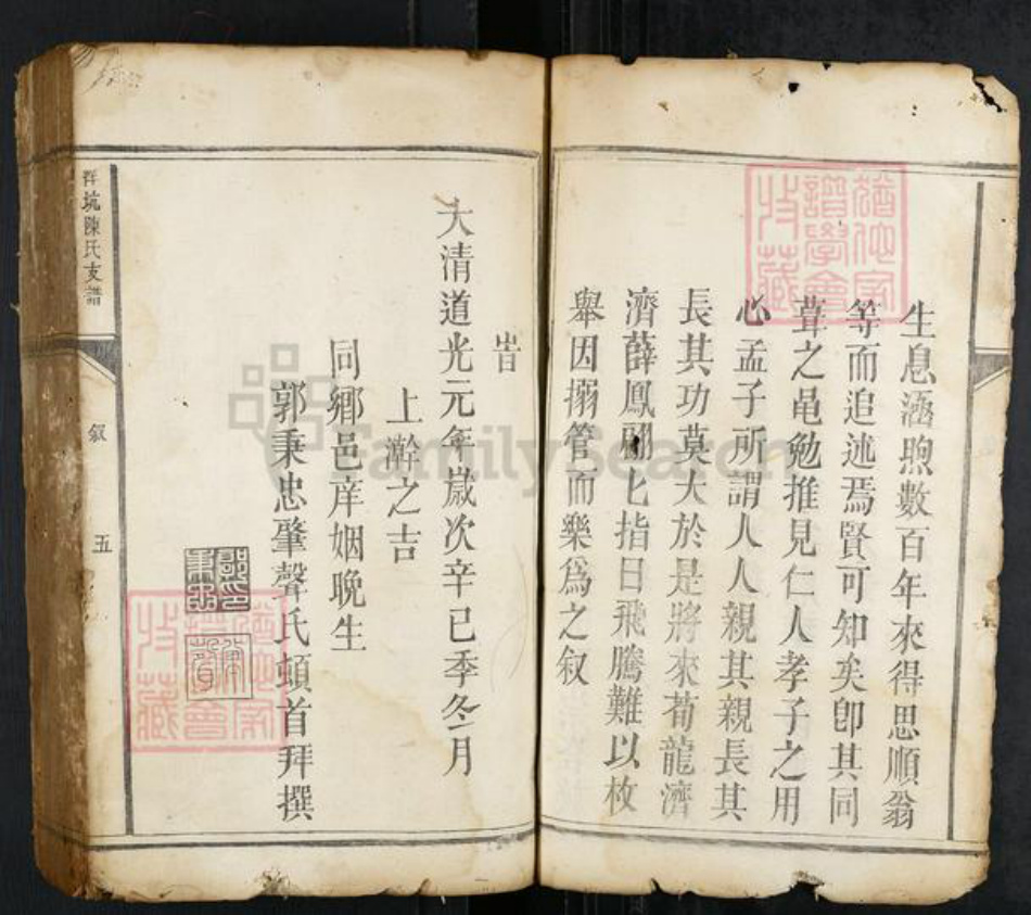 江西省赣州市瑞金市瑞林镇陈氏族谱-洋坑陈氏支谱.pdf电子版插图5