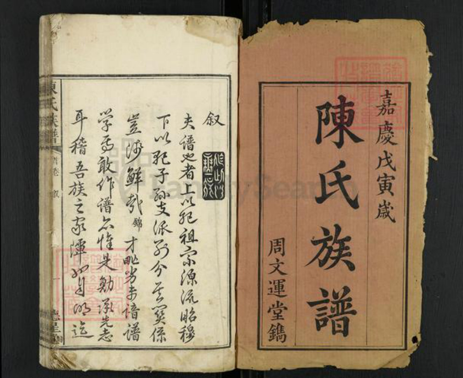 湖南省湘潭市雨湖区陈氏德星堂族谱-陈氏族谱.pdf电子版插图1