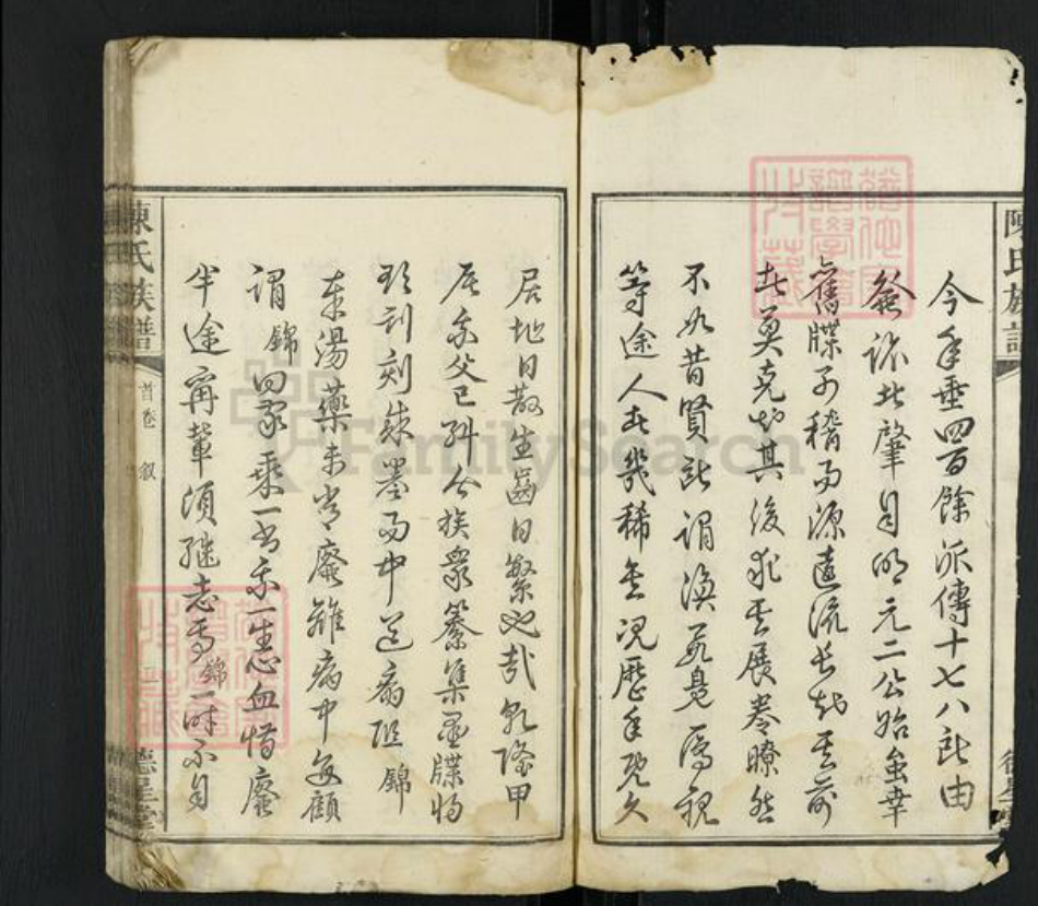 湖南省湘潭市雨湖区陈氏德星堂族谱-陈氏族谱.pdf电子版插图2