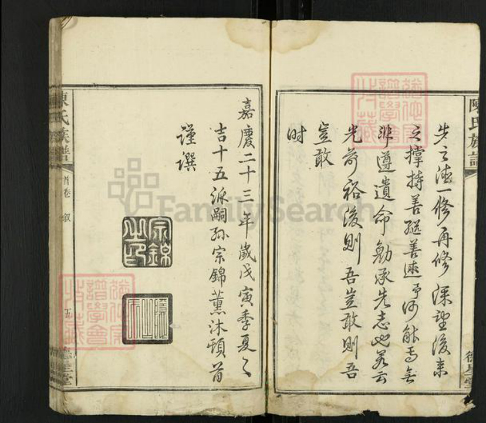 湖南省湘潭市雨湖区陈氏德星堂族谱-陈氏族谱.pdf电子版插图5