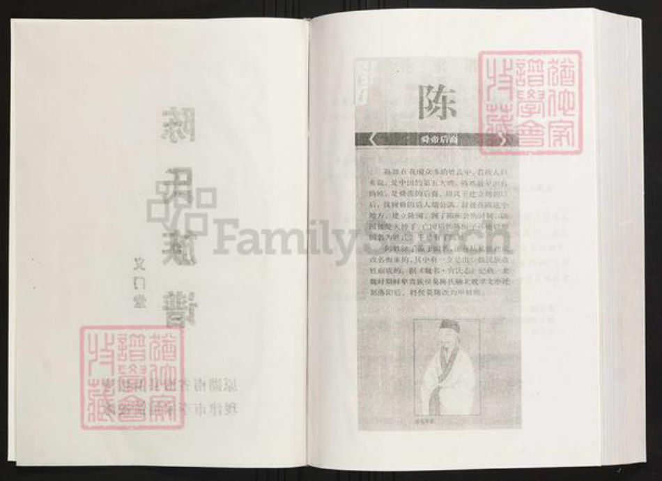 湖南省常德市陈氏族谱-陈氏族谱.义门堂.pdf电子版插图2