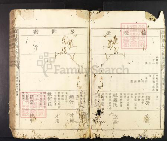 广东省陈氏族谱-颕川陈氏六修族谱.pdf电子版插图2